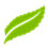 jardin-mett-leaf-favicon-57×57-icon-markr